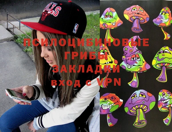 крисы Беломорск