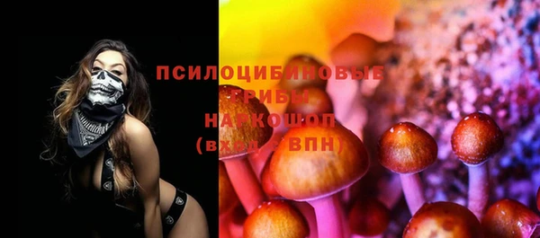крисы Беломорск