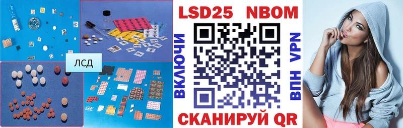 omg tor  Будённовск  ЛСД экстази кислота  купить закладку 
